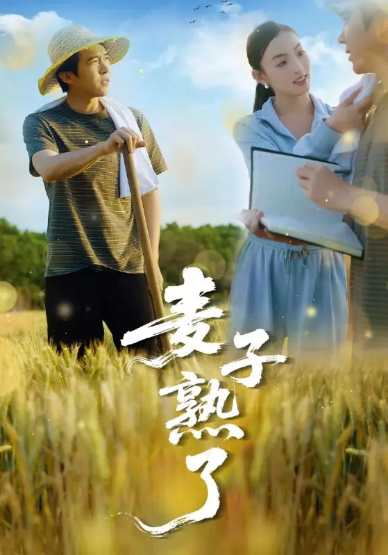 《麦子熟了》：田园诗意与人性的丰收，一场心灵的救赎之旅