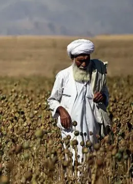 《鸦片之初》：燃情岁月的血泪挽歌，一段关于反抗与牺牲的动态漫画史诗