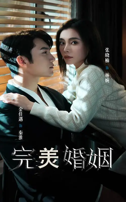 《完美婚姻》：当爱情遭遇现实，婚姻还能完美吗？深度剖析情感危机，引人深思！